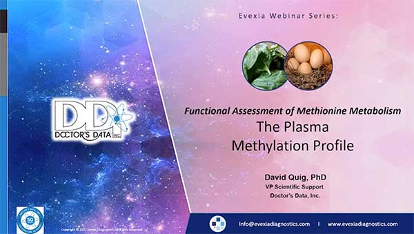 Functional Assessment of Essential Methionine Metabolism The Plasma Methylation Profile
